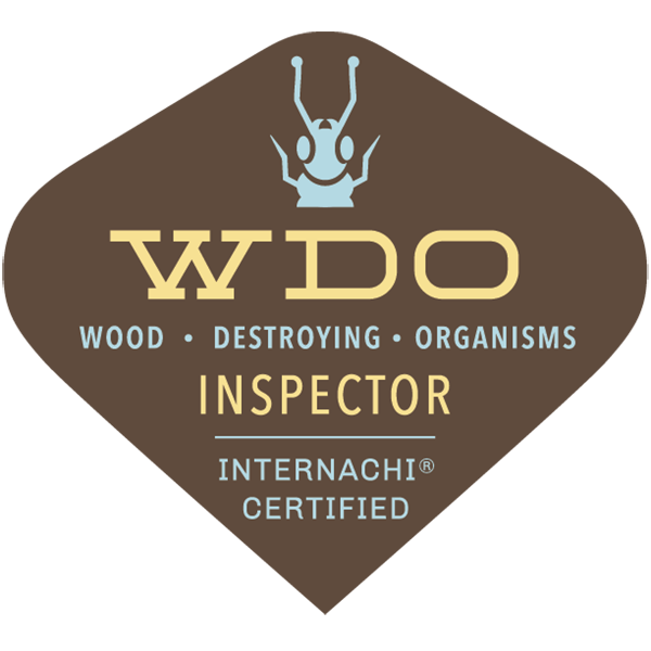 wdo